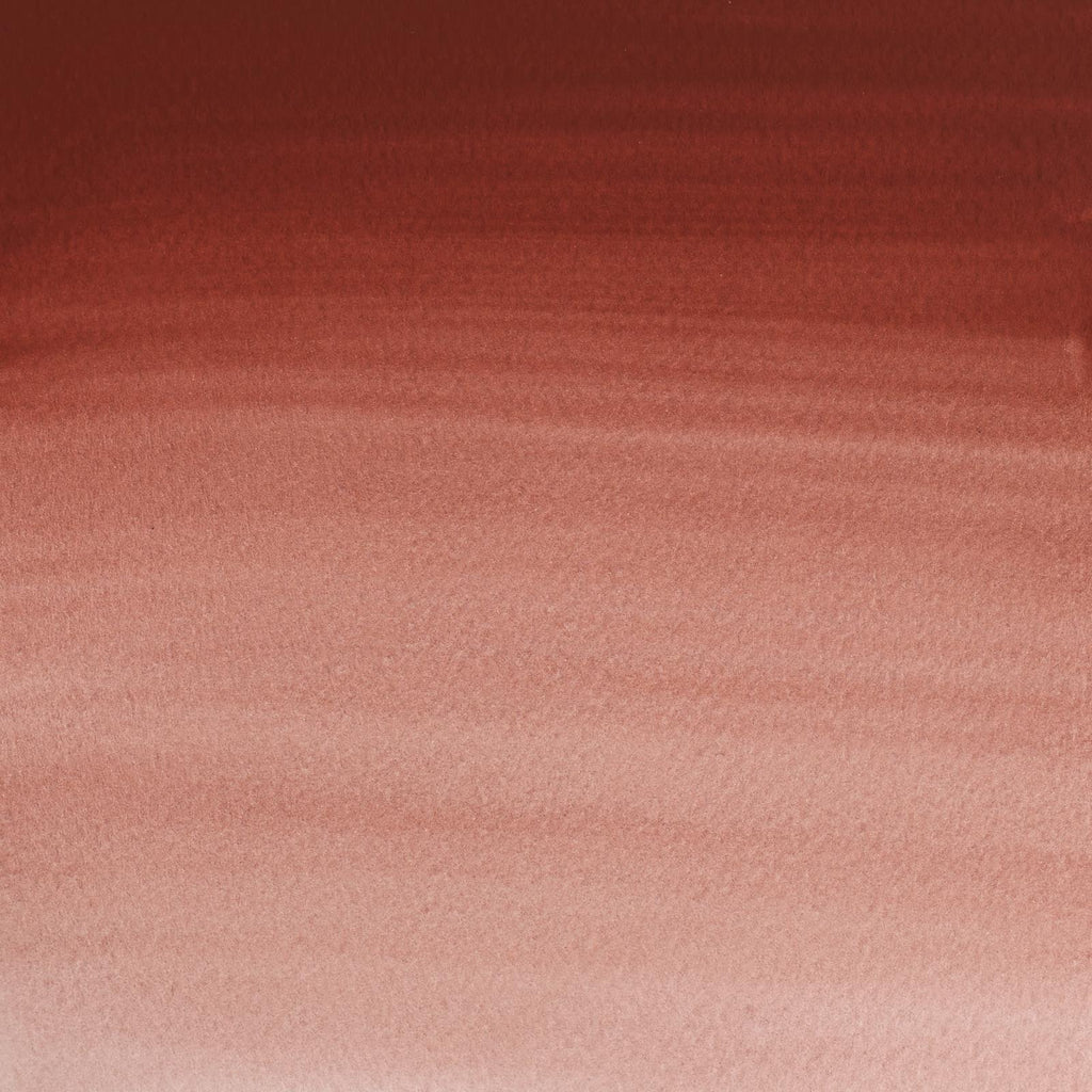 Acuarela Cotman Winsor & Newton Medio Pan - Varios Colores Tono Palo Rojo