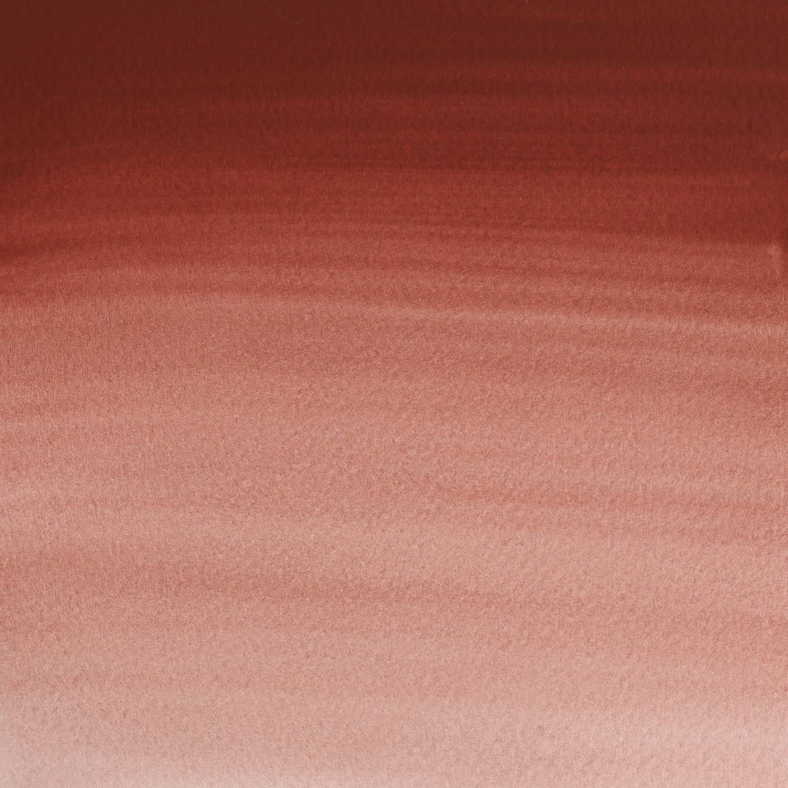 Acuarela Cotman Winsor & Newton Medio Pan - Varios Colores Tono Palo Rojo