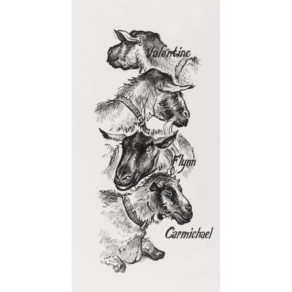Marcador Pitt Artist Pen Negro Faber-Castell x4 uds.