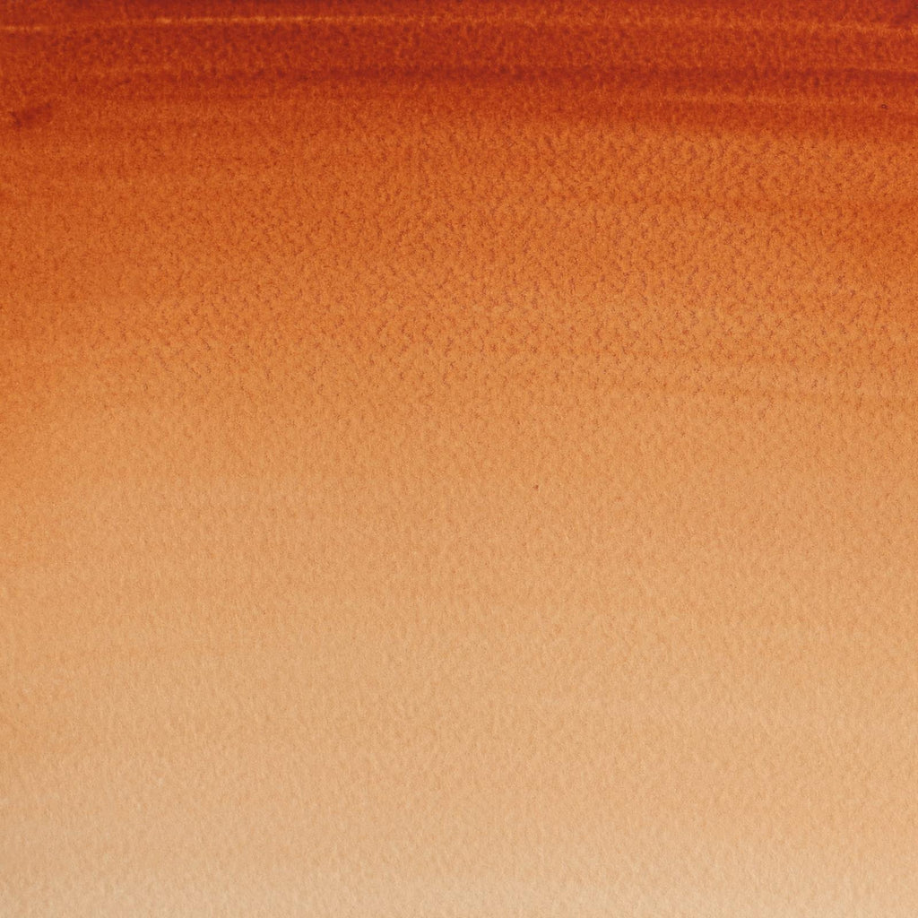 Acuarela Cotman Winsor & Newton 8ml - Varios Colores Ocre Amarillo