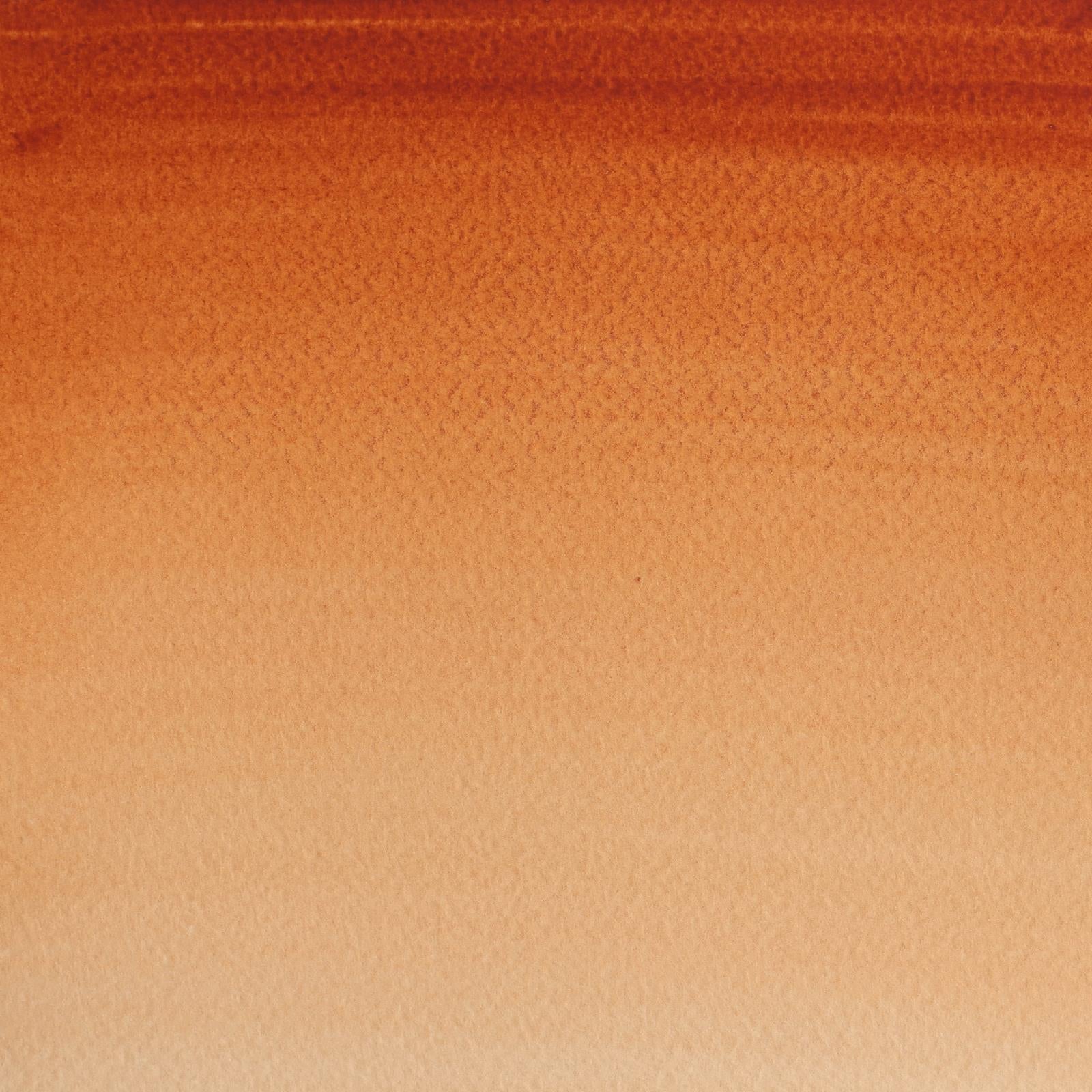 Acuarela Cotman Winsor & Newton 8ml - Varios Colores Ocre Amarillo