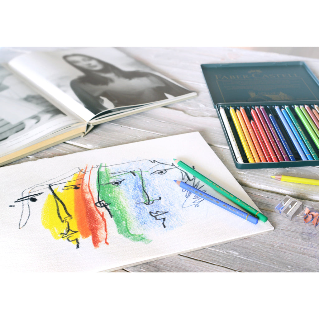Lata EcoLápices Polychromos Faber-Castell x24 Colores